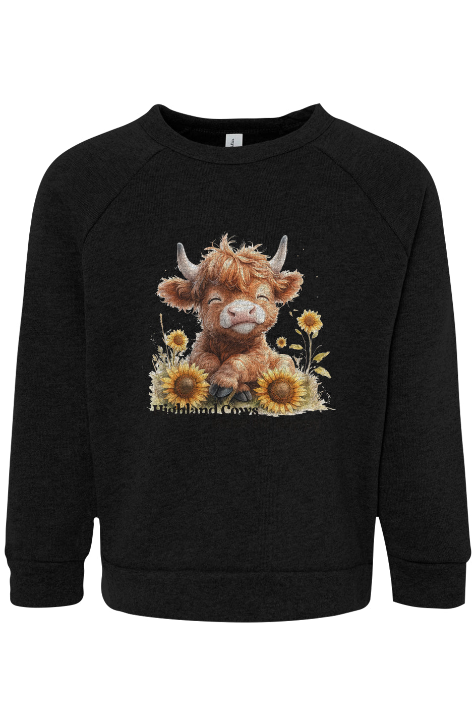 Toddler Raglan Sweatshirt