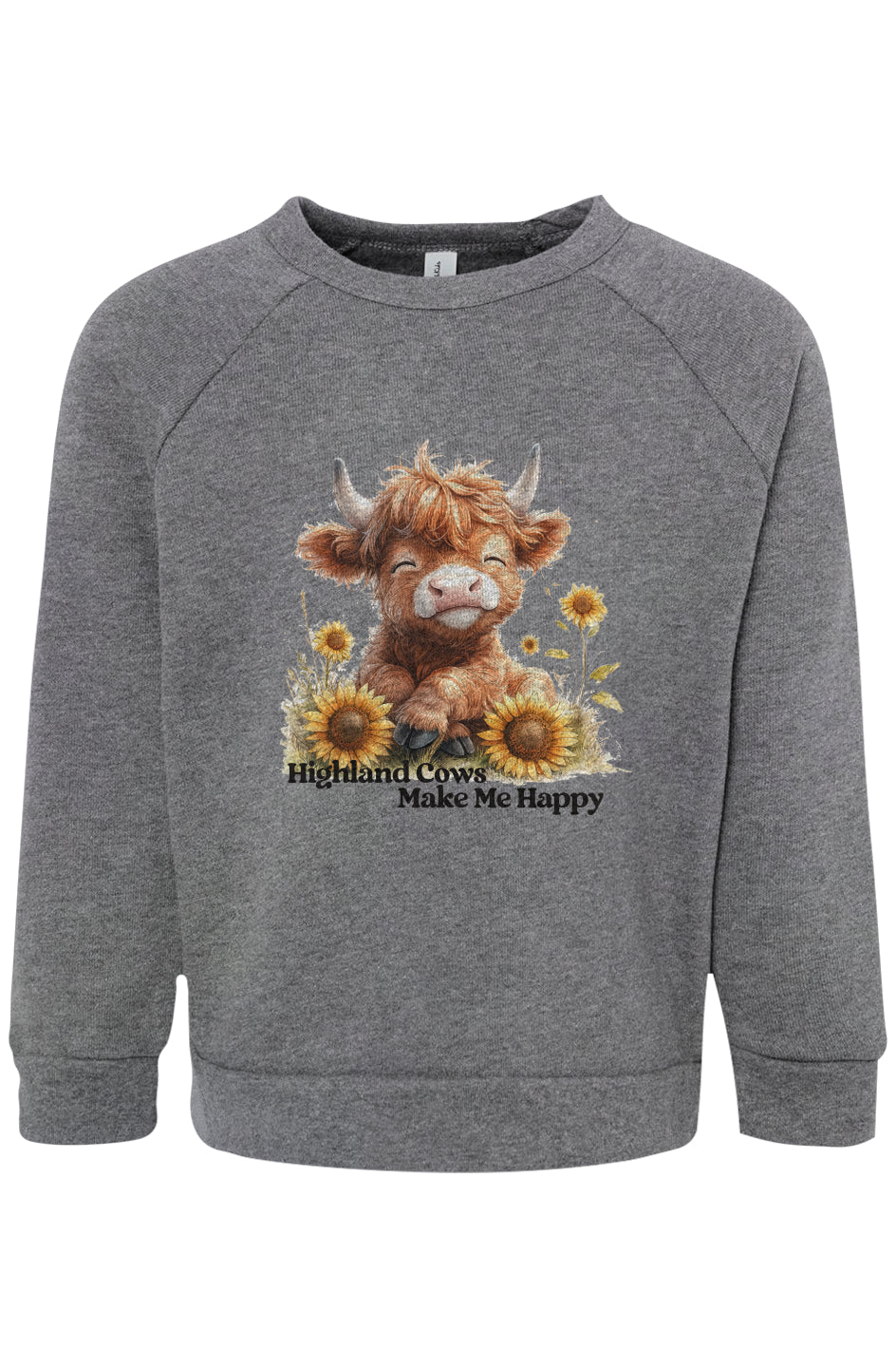 Toddler Raglan Sweatshirt