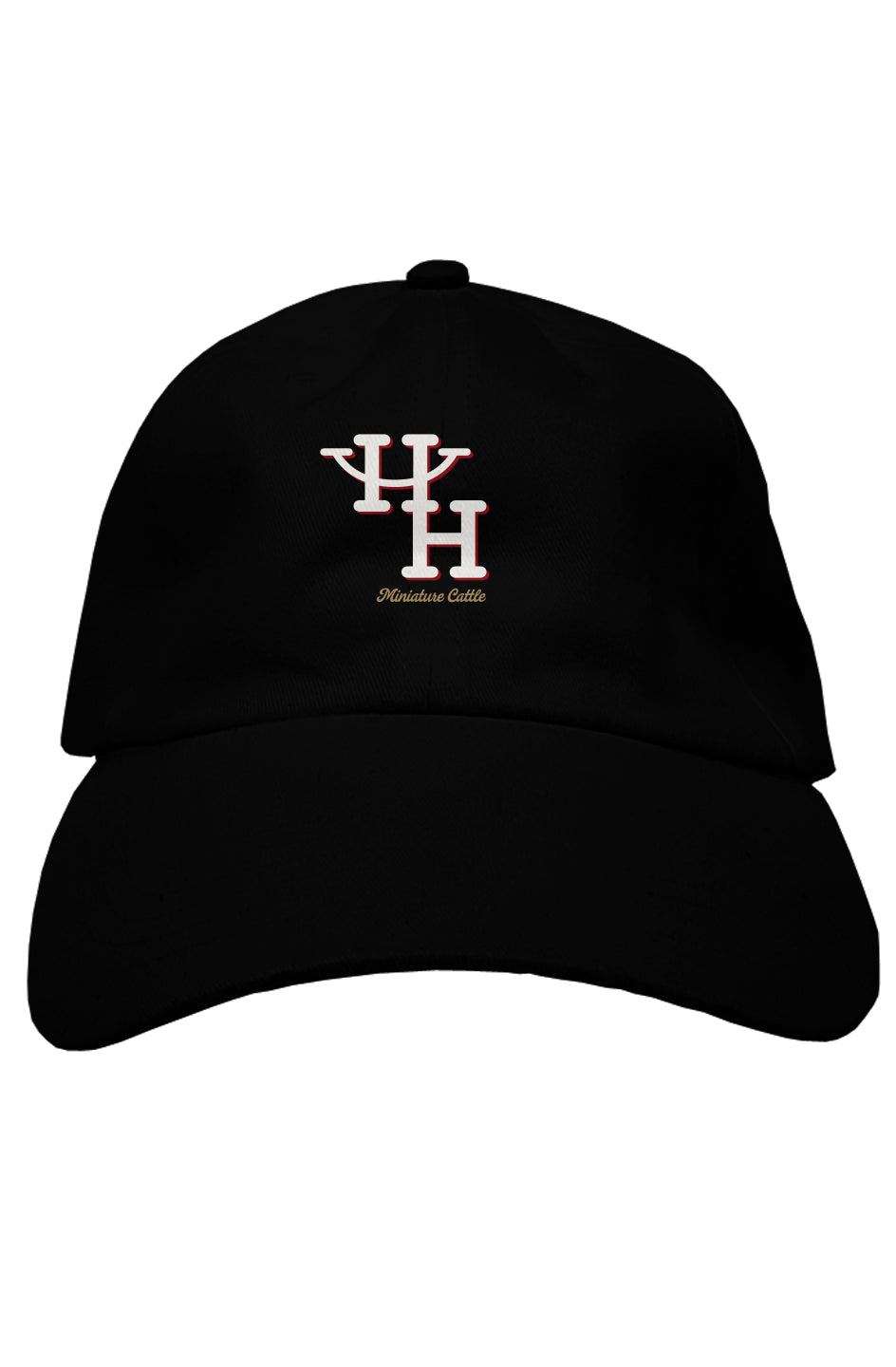 premium dad hat