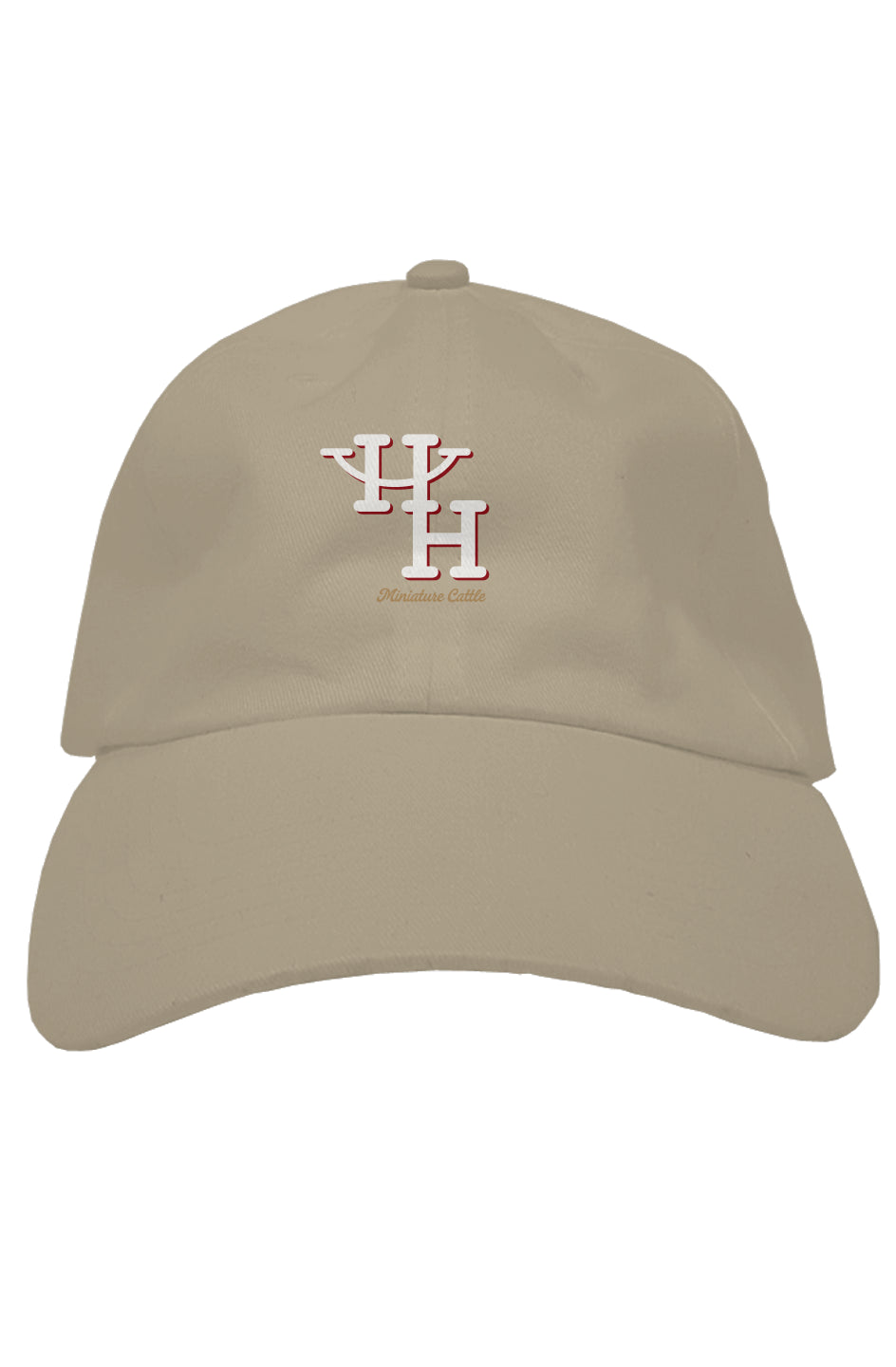 premium dad hat