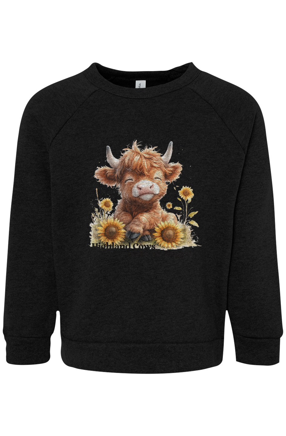 Toddler Raglan Sweatshirt