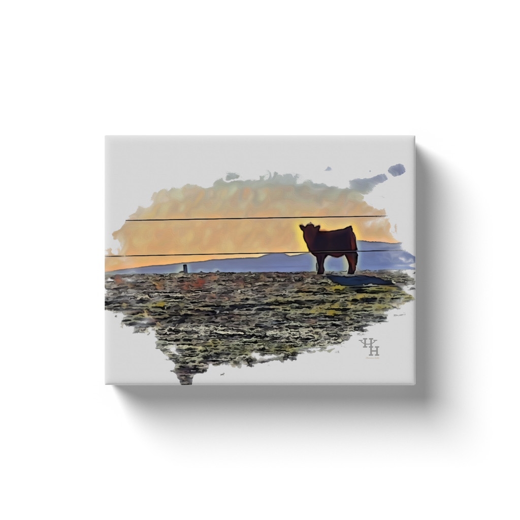 generated-proPreview-2