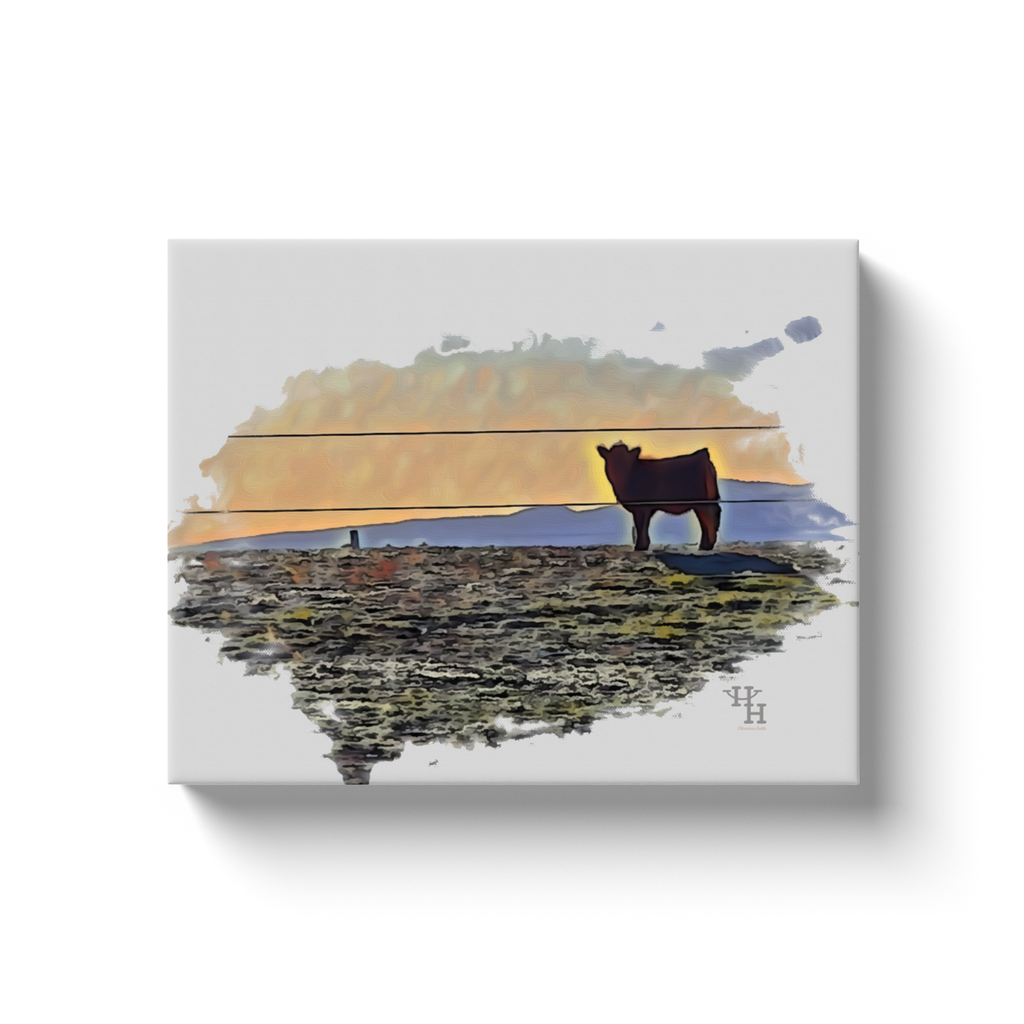 generated-proPreview-5